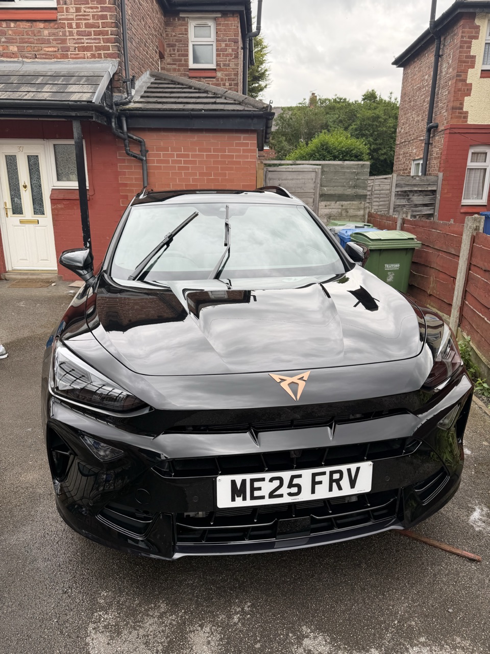 Showroom-shine Cupra by DR Elite