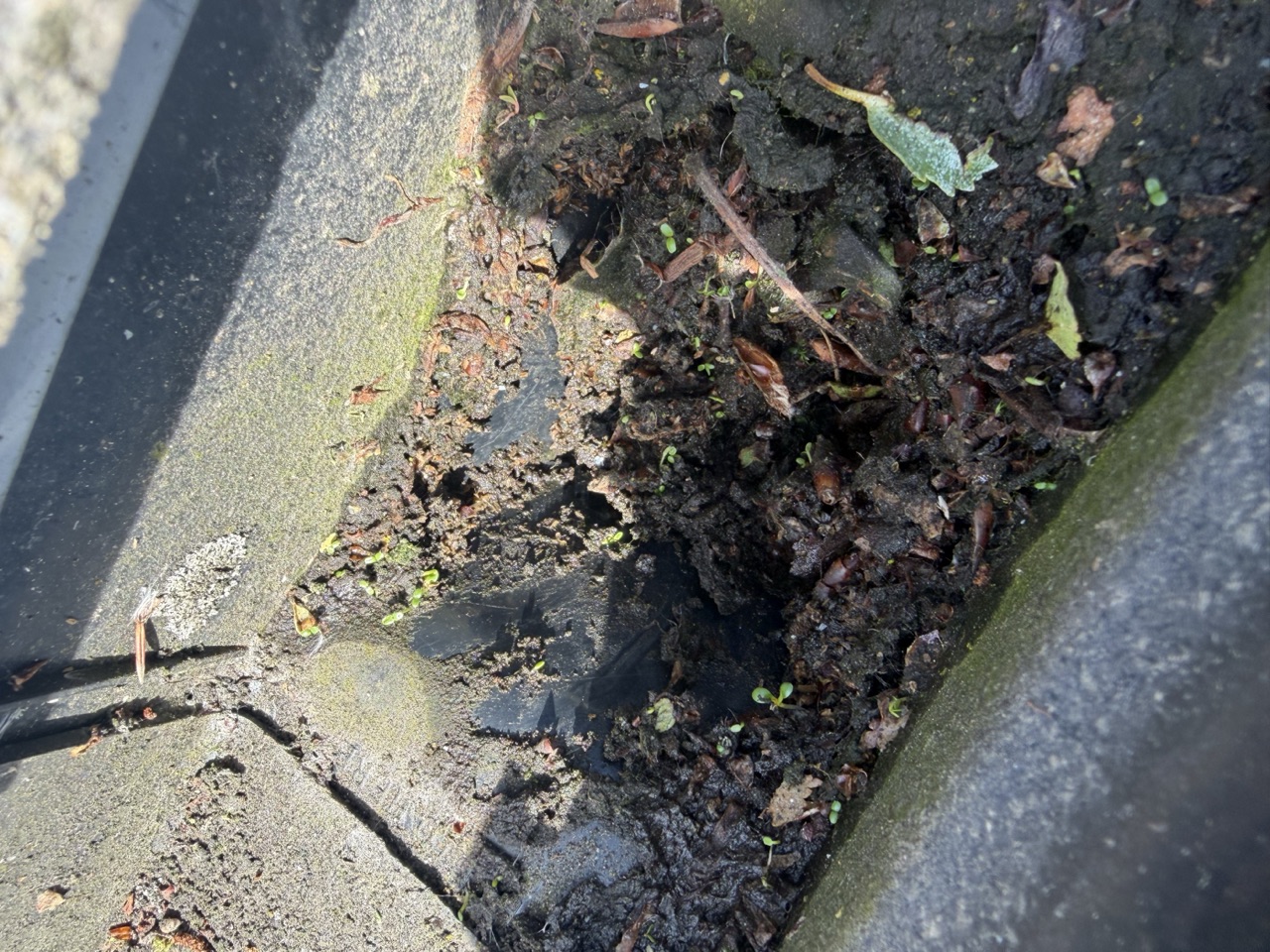 Gutter Cleaning by DR Elite Washing Service