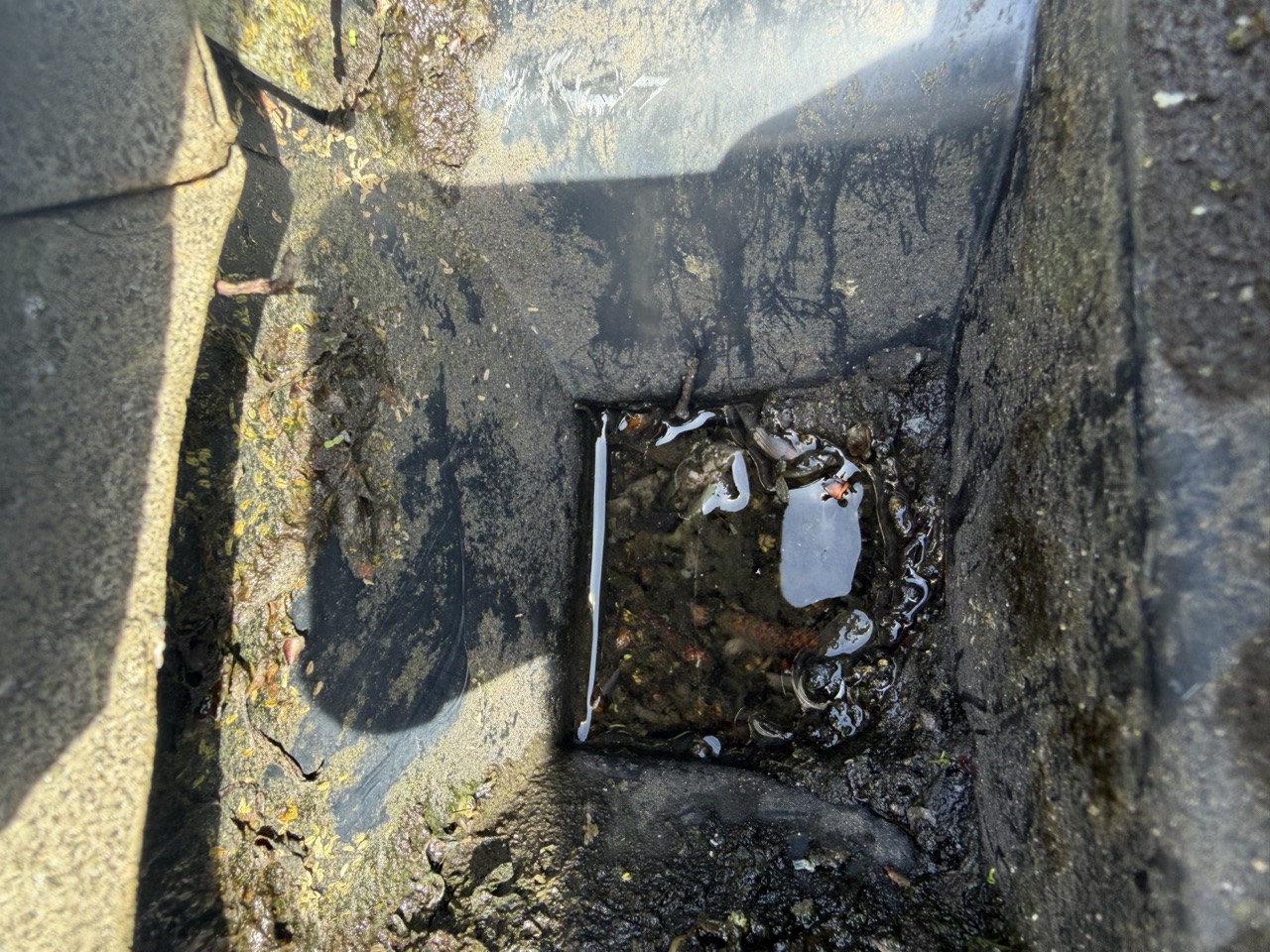 A gutter gully full of silt and standing water